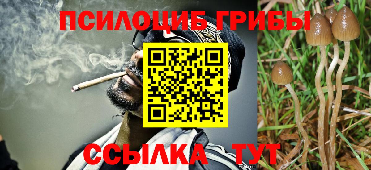 Галлюциногенные грибы Psilocybine cubensis  Белорецк 