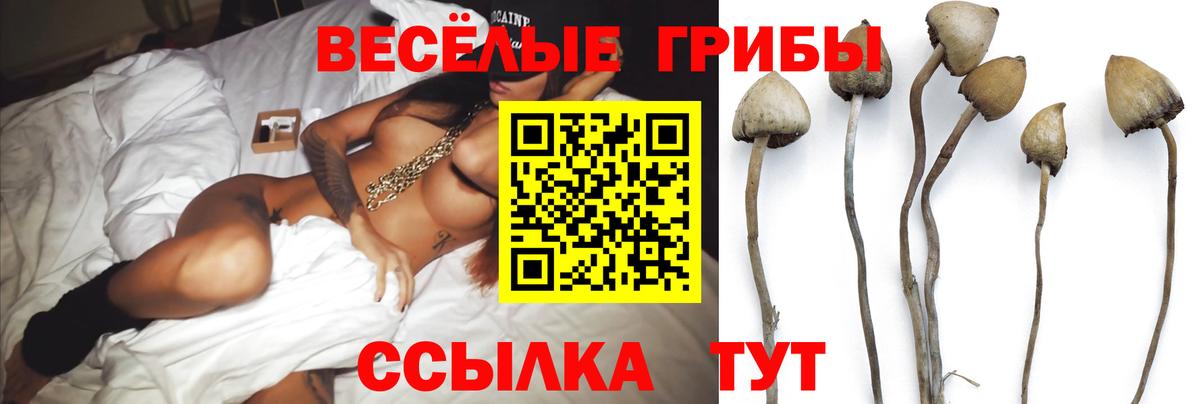 Псилоцибиновые грибы GOLDEN TEACHER Белорецк